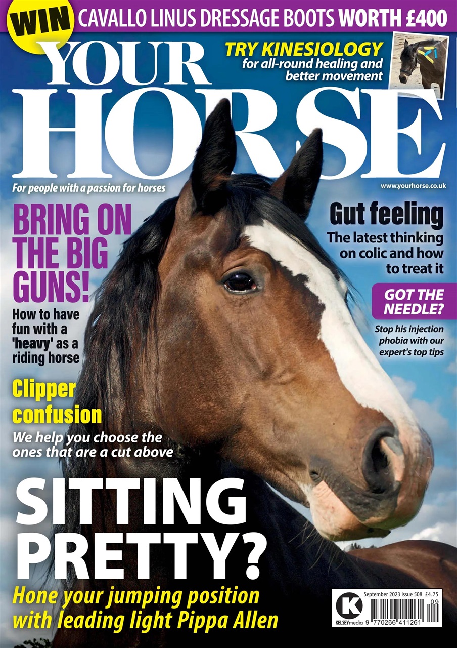 Your Horse Preview Pages