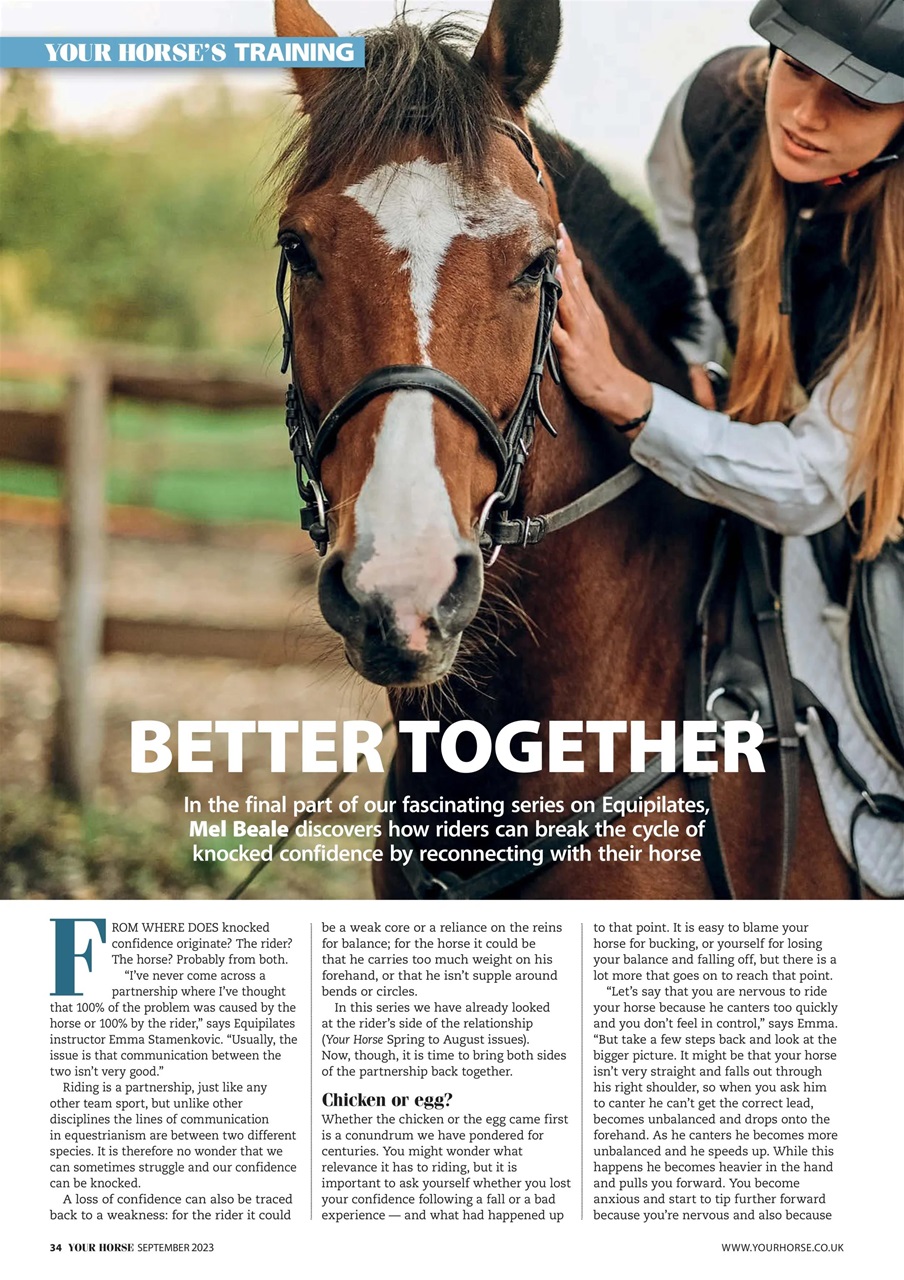 Your Horse Preview Pages