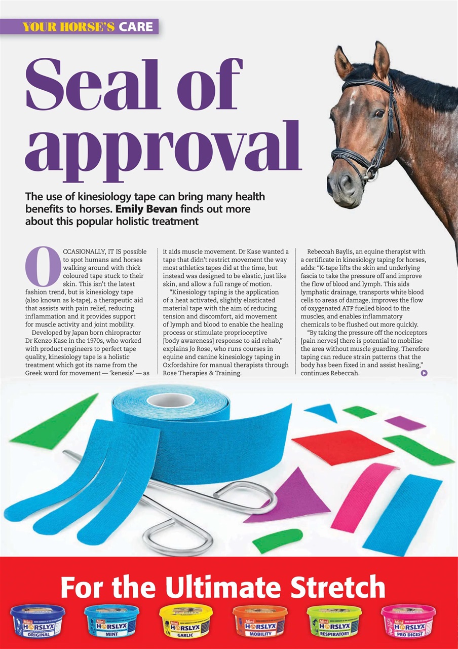 Your Horse Preview Pages