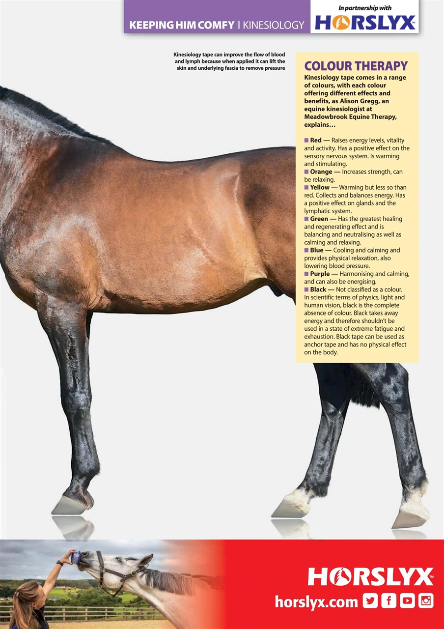 Your Horse Preview Pages
