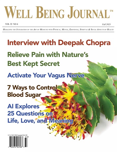 Well Being Journal issue 