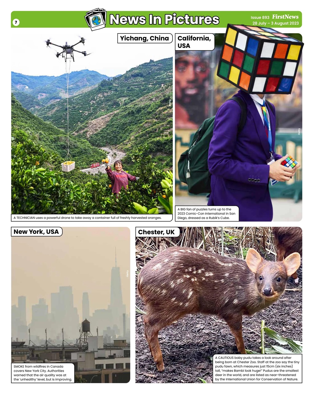 First News Preview Pages