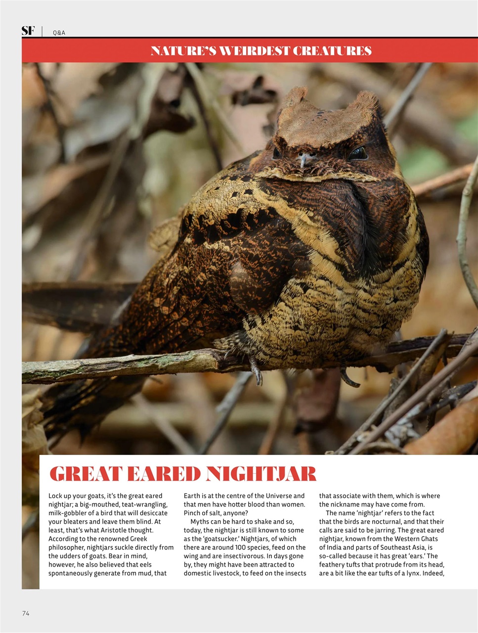 BBC Science Focus Magazine Preview Pages