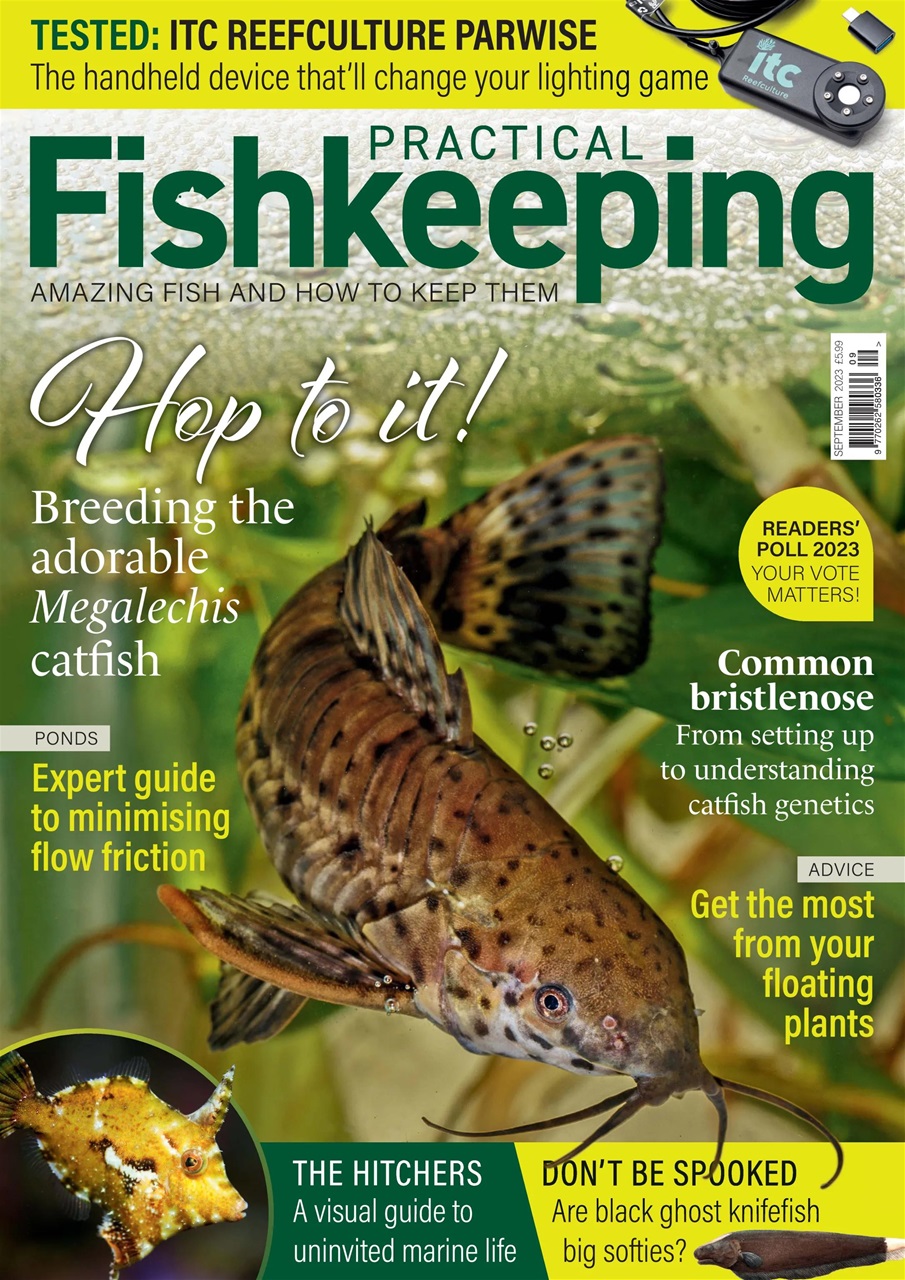 Practical Fishkeeping Preview Pages
