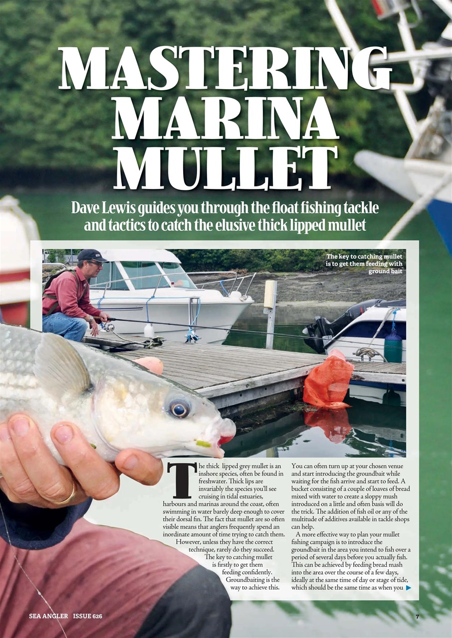Sea Angler Preview Pages