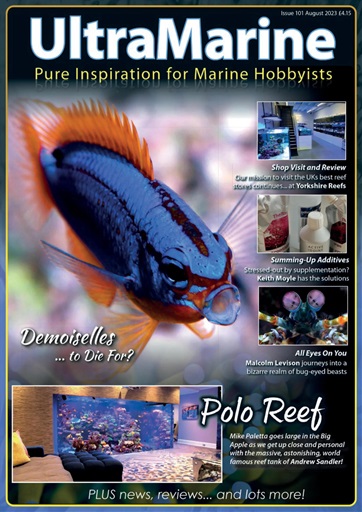 UltraMarine Magazine issue 