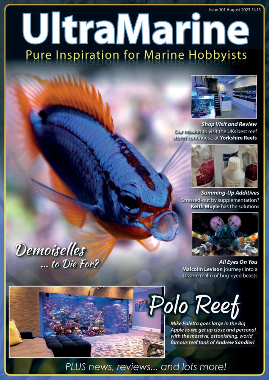 UltraMarine Magazine Preview Pages