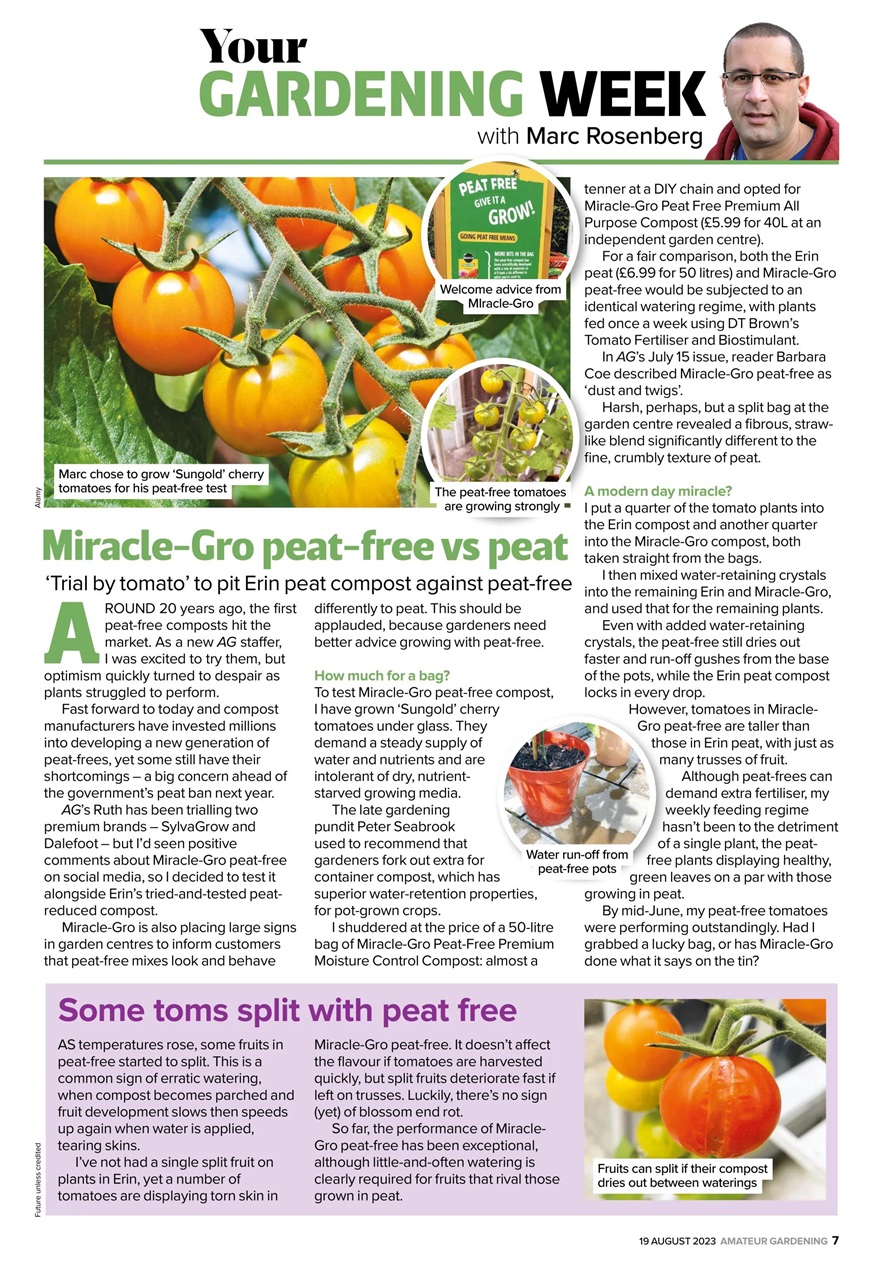 Amateur Gardening Preview Pages