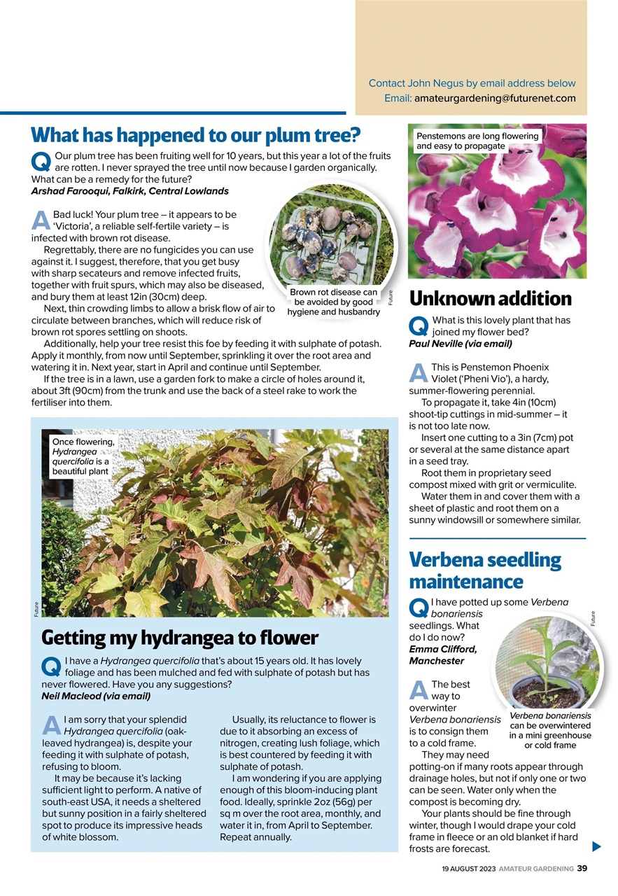 Amateur Gardening Preview Pages