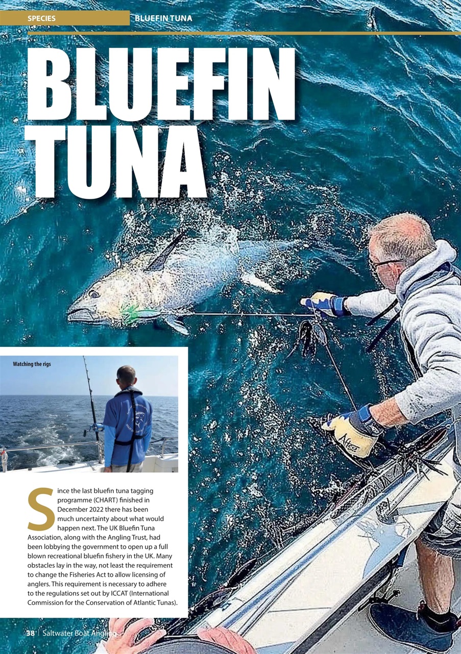 Saltwater Boat Angling Preview Pages