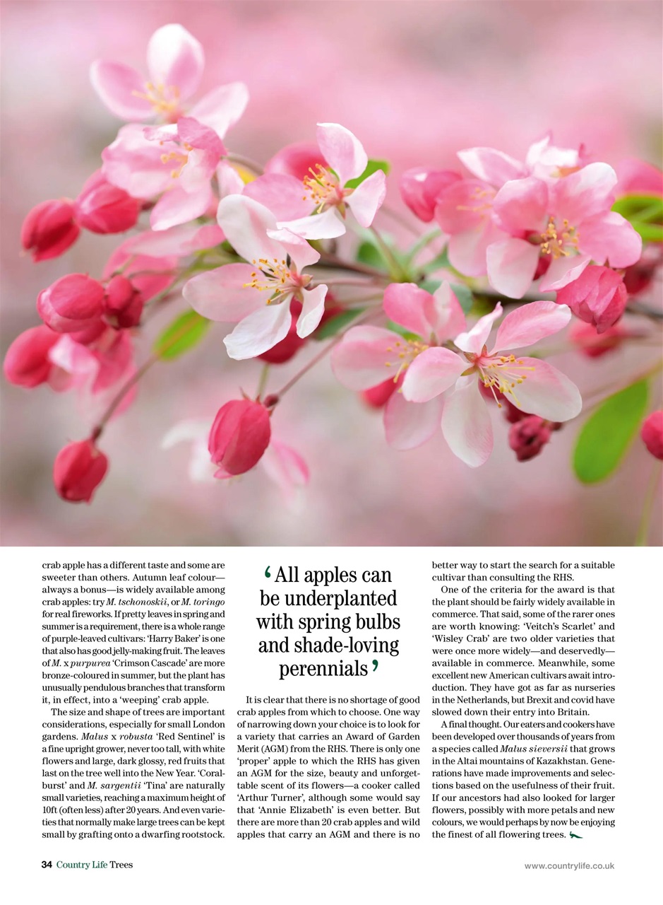 Country Life Bookazine Preview Pages