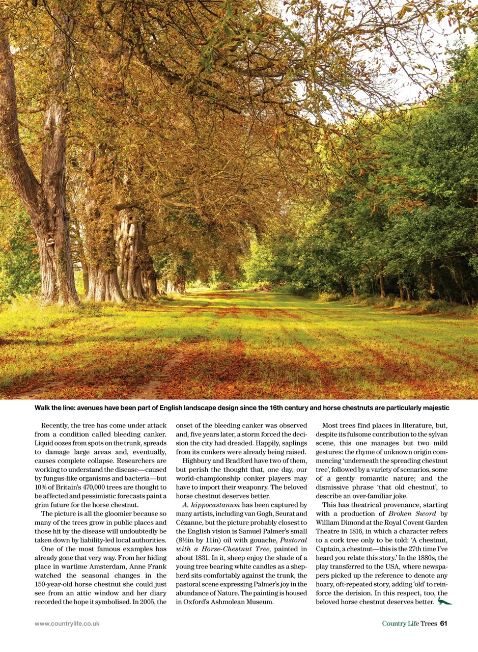 Country Life Bookazine Preview Pages