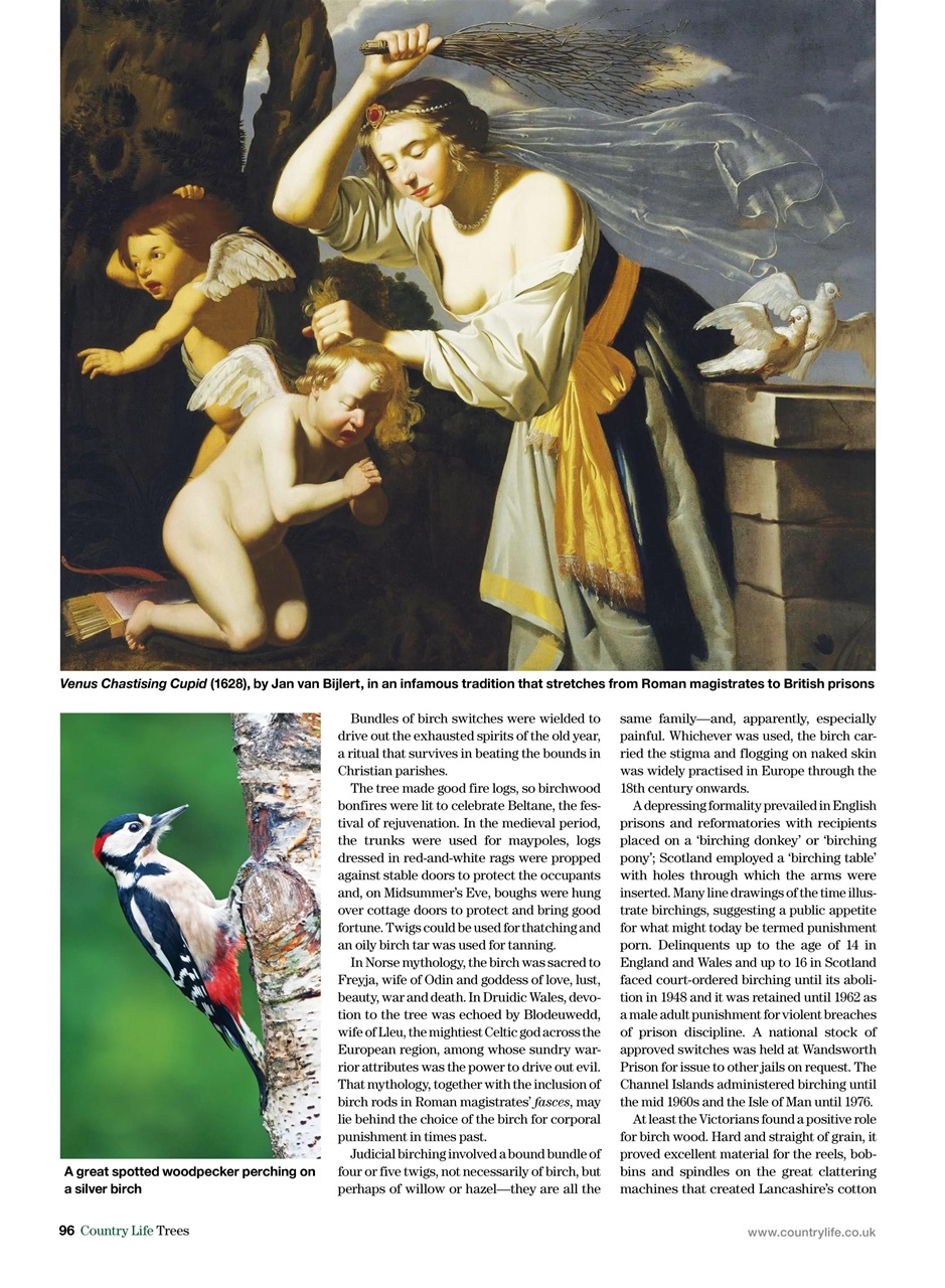 Country Life Bookazine Preview Pages