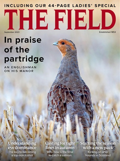 The Field issue 