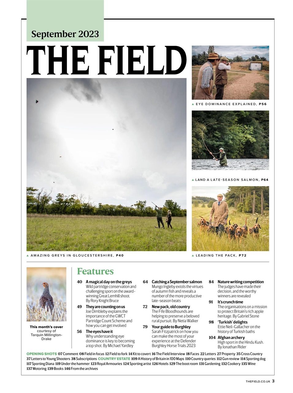 The Field Preview Pages