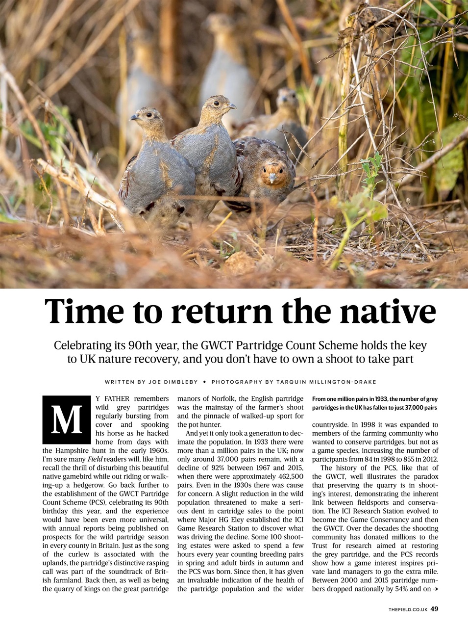 The Field Preview Pages