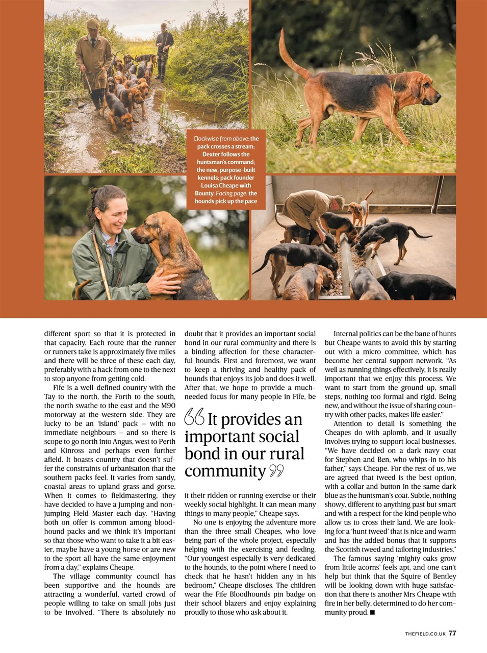 The Field Preview Pages