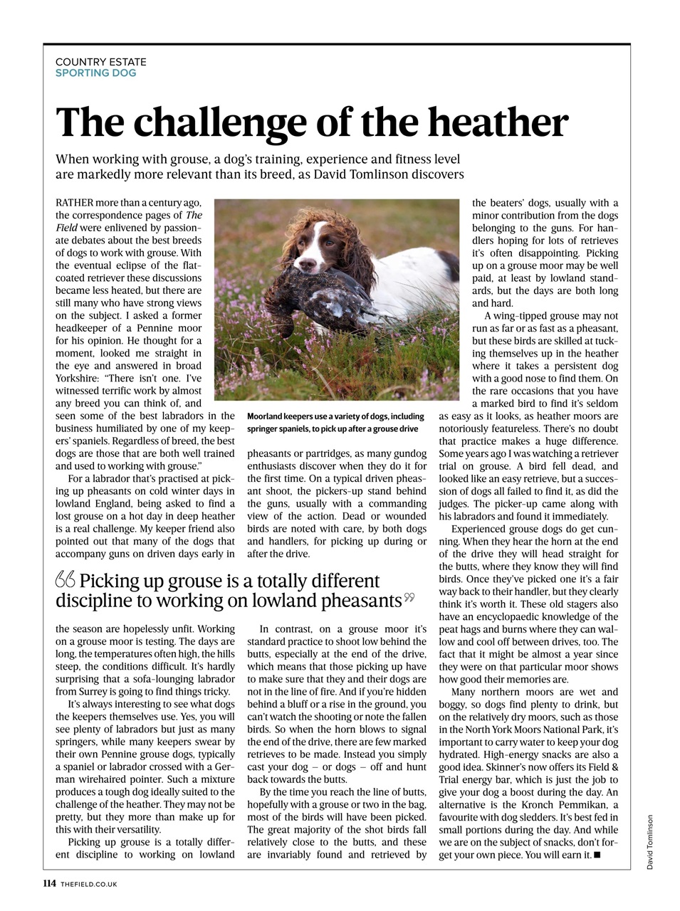 The Field Preview Pages