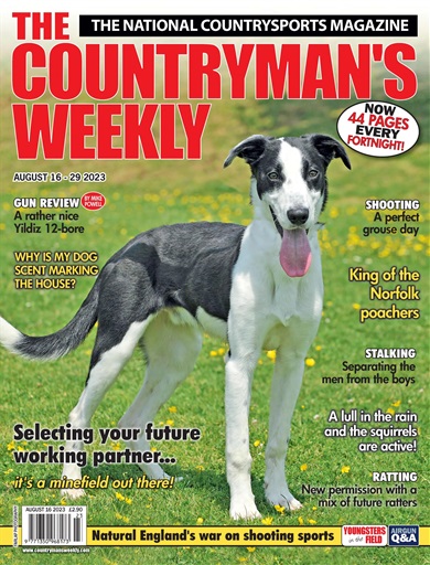 Countryman's Weekly issue 