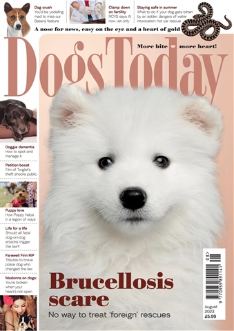 Dogs Today Magazine issue August 2023