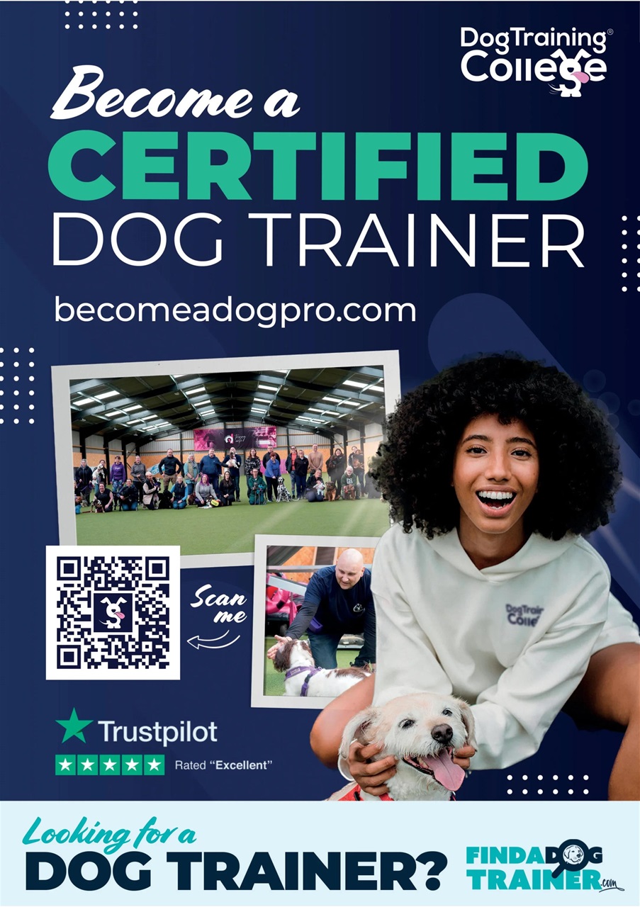 Dogs Today Magazine Preview Pages