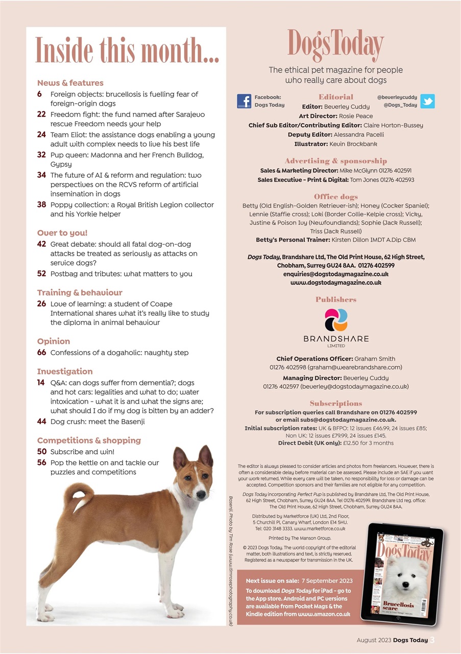 Dogs Today Magazine Preview Pages