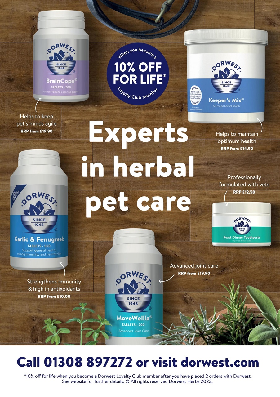 Dogs Today Magazine Preview Pages