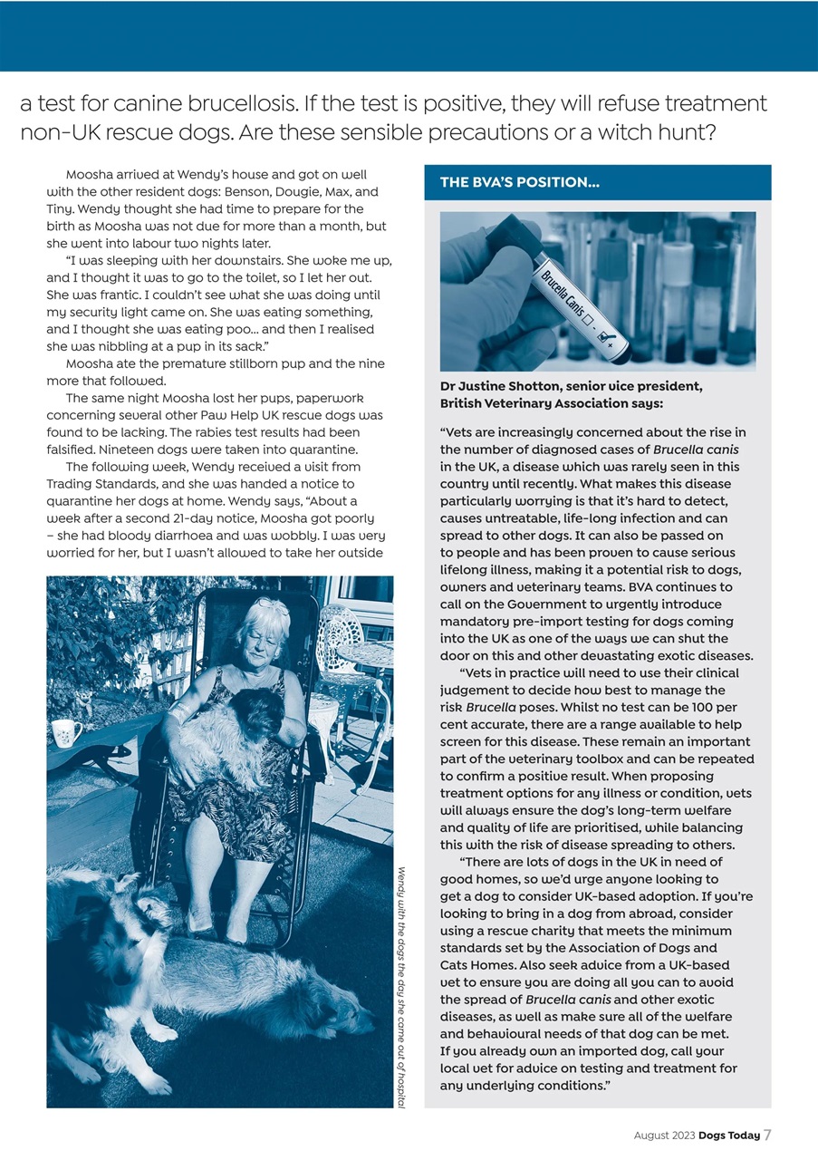 Dogs Today Magazine Preview Pages