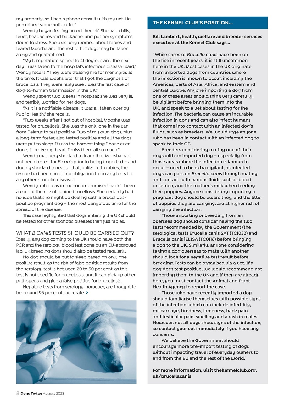 Dogs Today Magazine Preview Pages