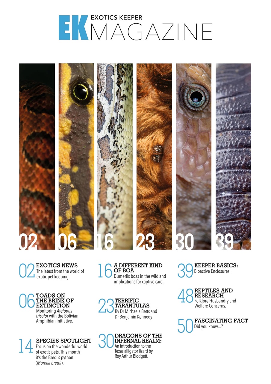 Exotics Keeper Preview Pages