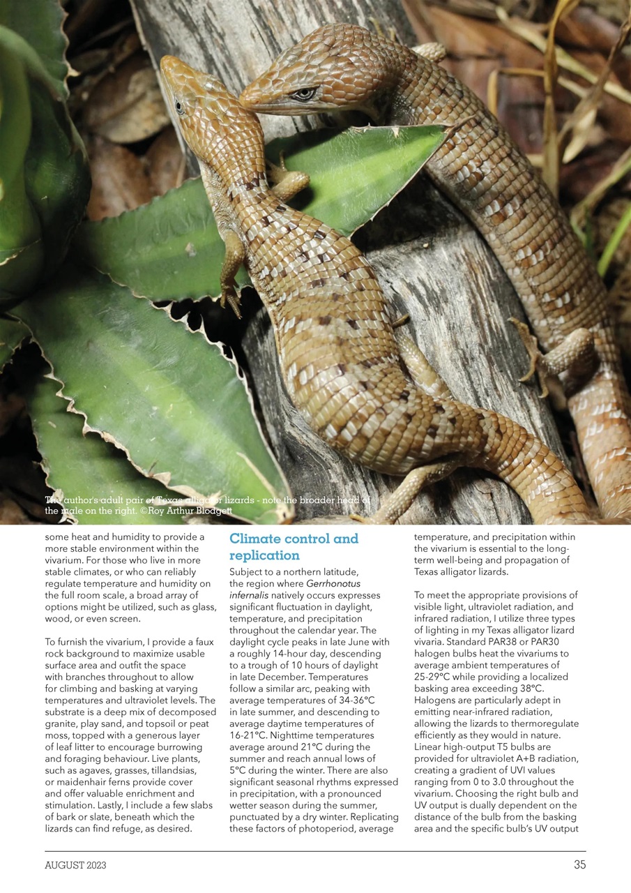 Exotics Keeper Preview Pages