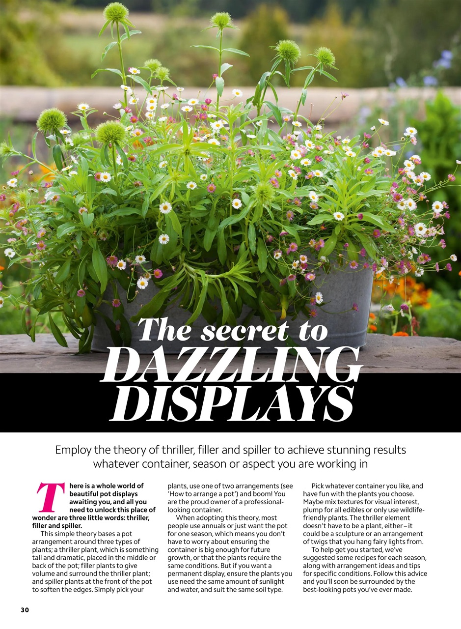 Home Interests Bookazine Preview Pages