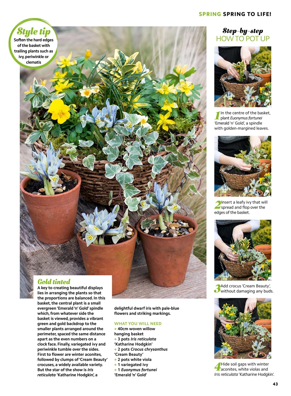 Home Interests Bookazine Preview Pages