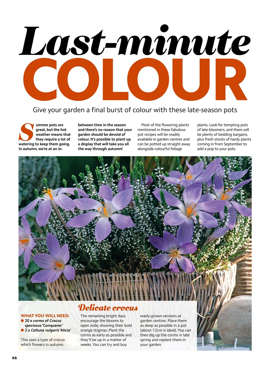 Home Interests Bookazine Preview Pages