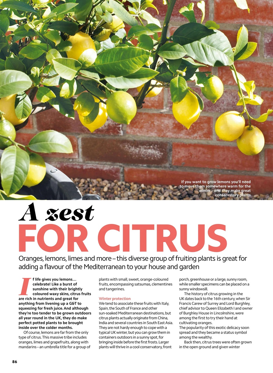 Home Interests Bookazine Preview Pages