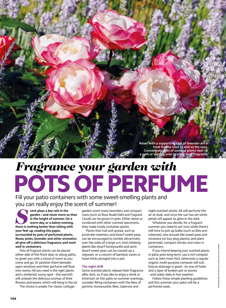 Home Interests Bookazine Preview Pages