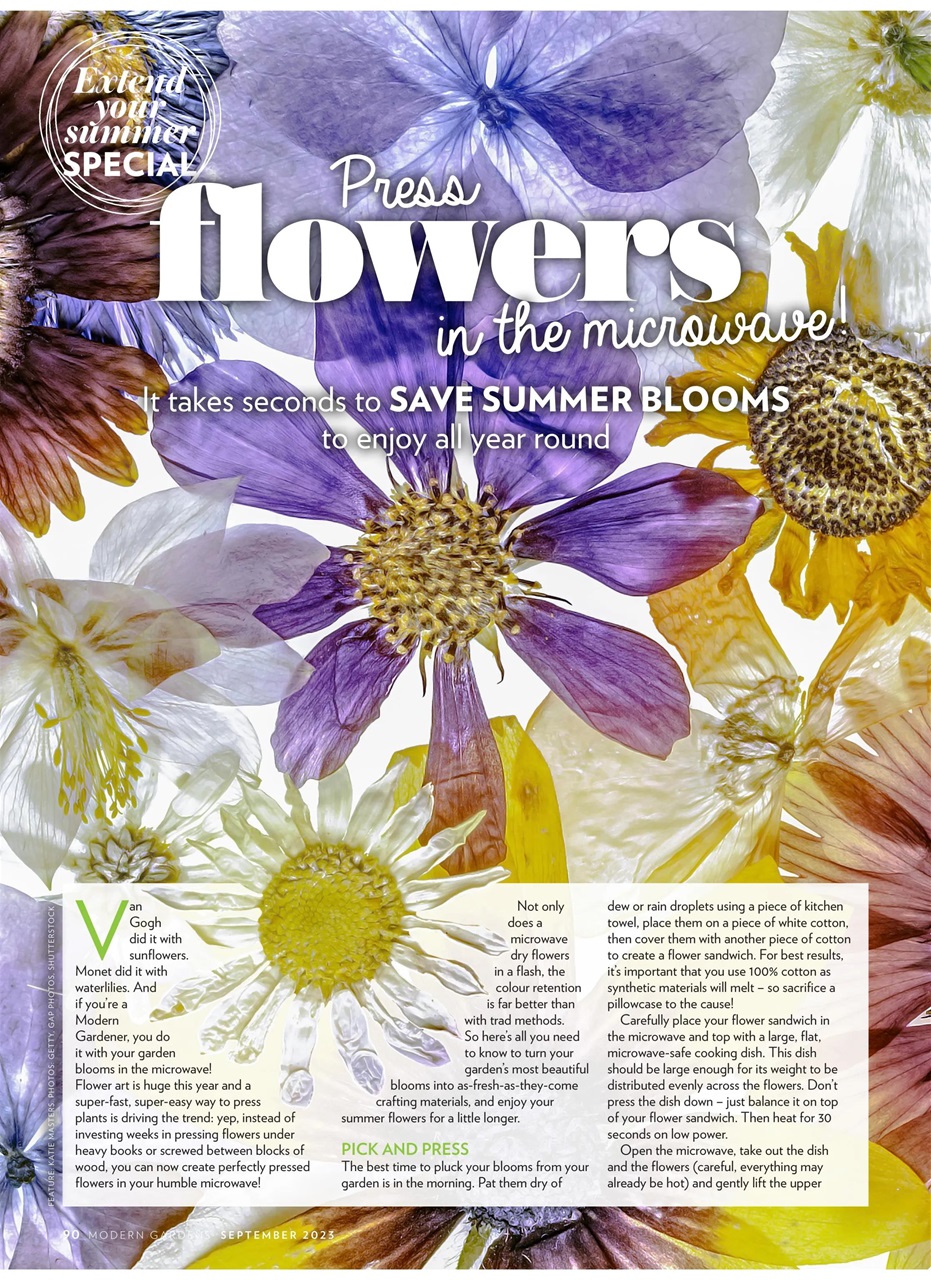 Modern Gardens Preview Pages