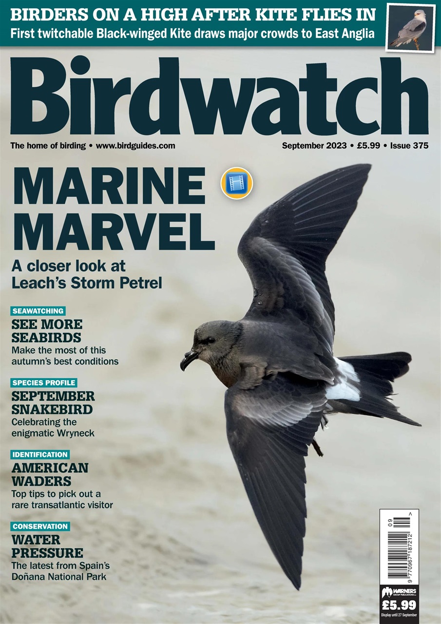 Birdwatch Magazine Preview Pages