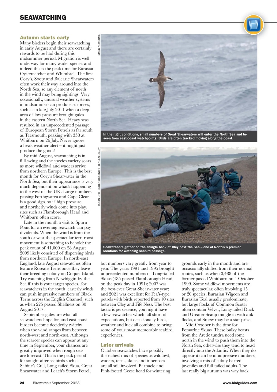 Birdwatch Magazine Preview Pages