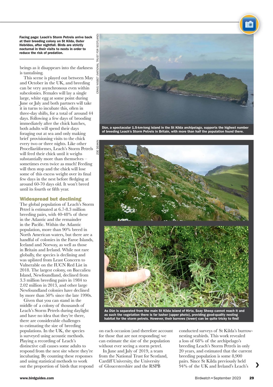 Birdwatch Magazine Preview Pages