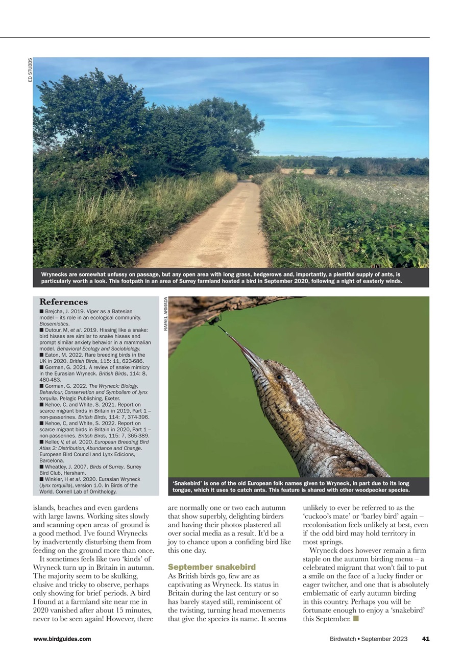 Birdwatch Magazine Preview Pages