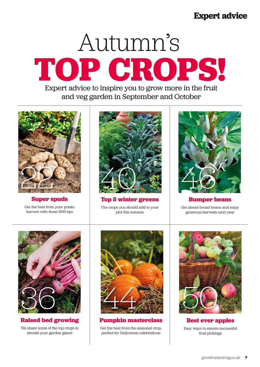 Grow Your Own Preview Pages