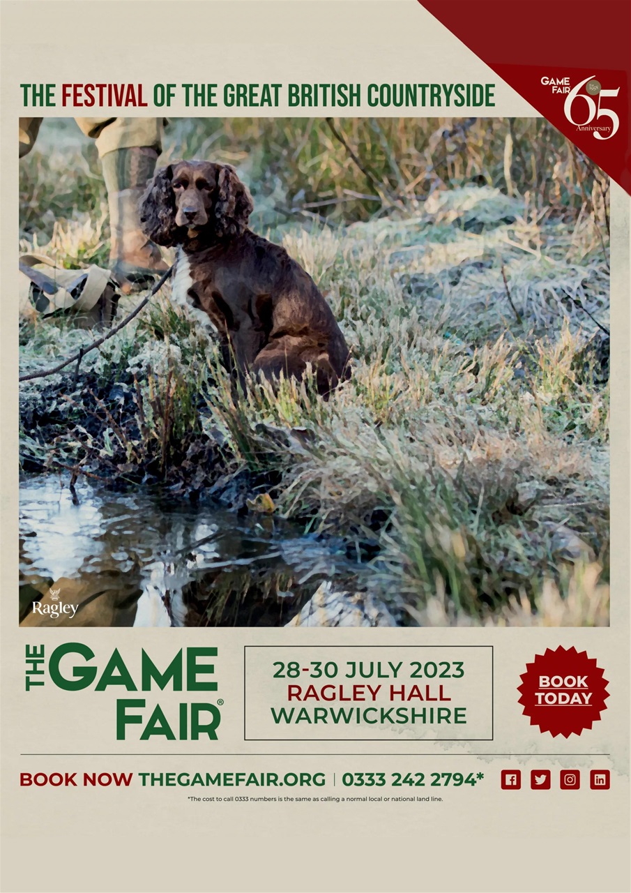 Rifle Shooter Preview Pages