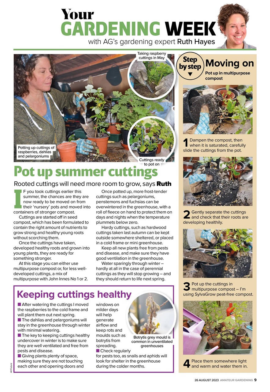 Amateur Gardening Preview Pages