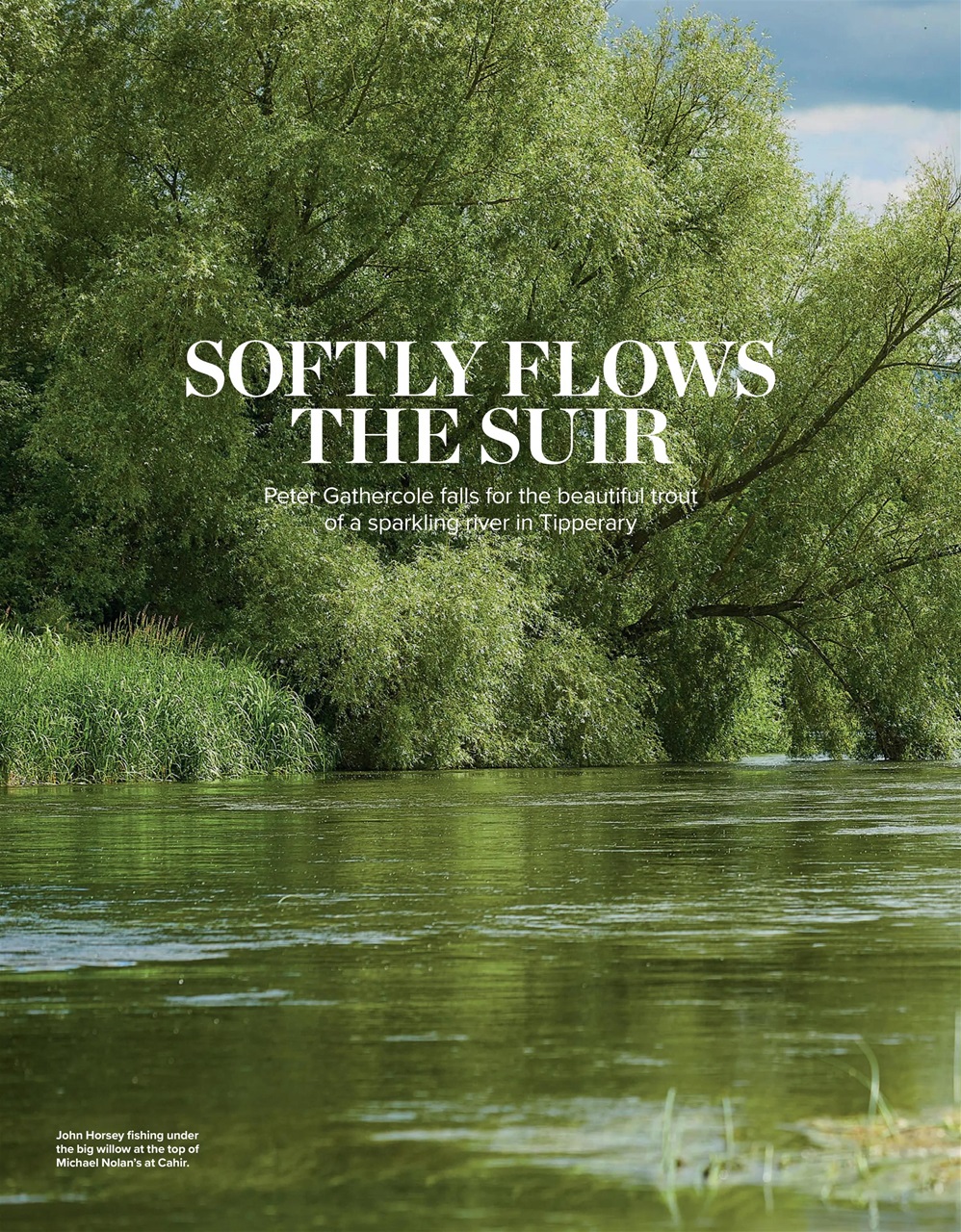 Trout & Salmon Preview Pages