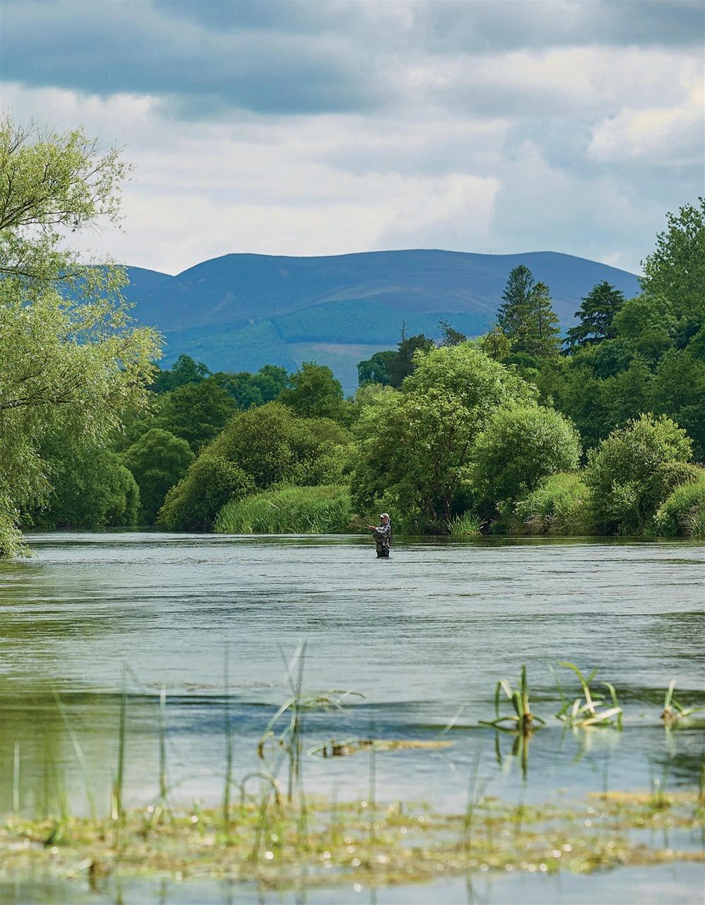 Trout & Salmon Preview Pages