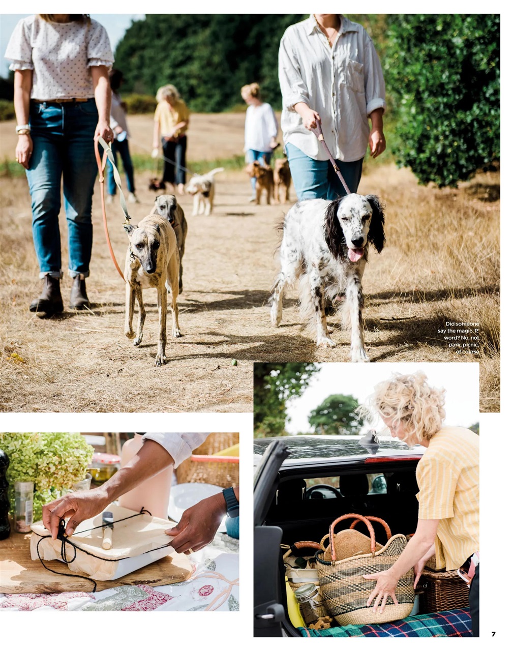 The Simple Things Preview Pages