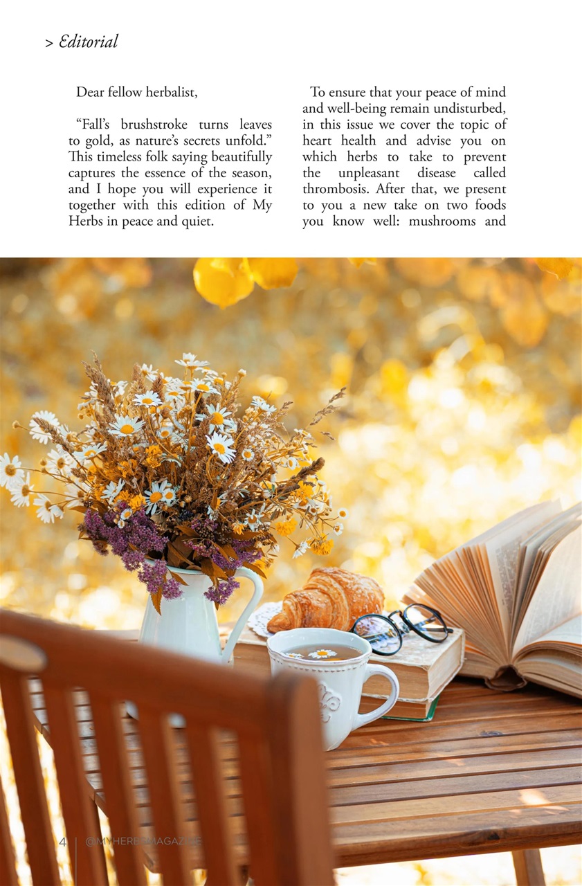 My Herbs Magazine Preview Pages