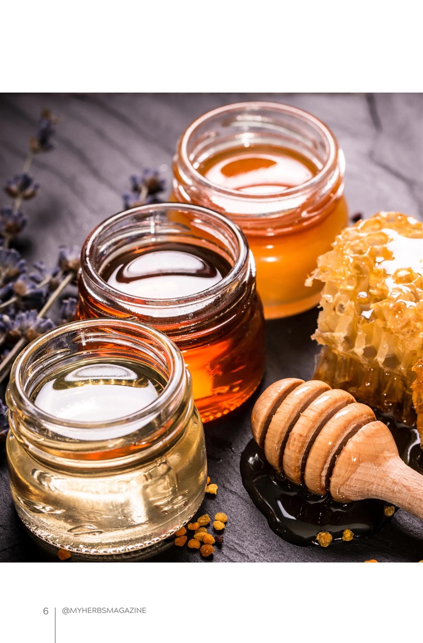 My Herbs Magazine Preview Pages