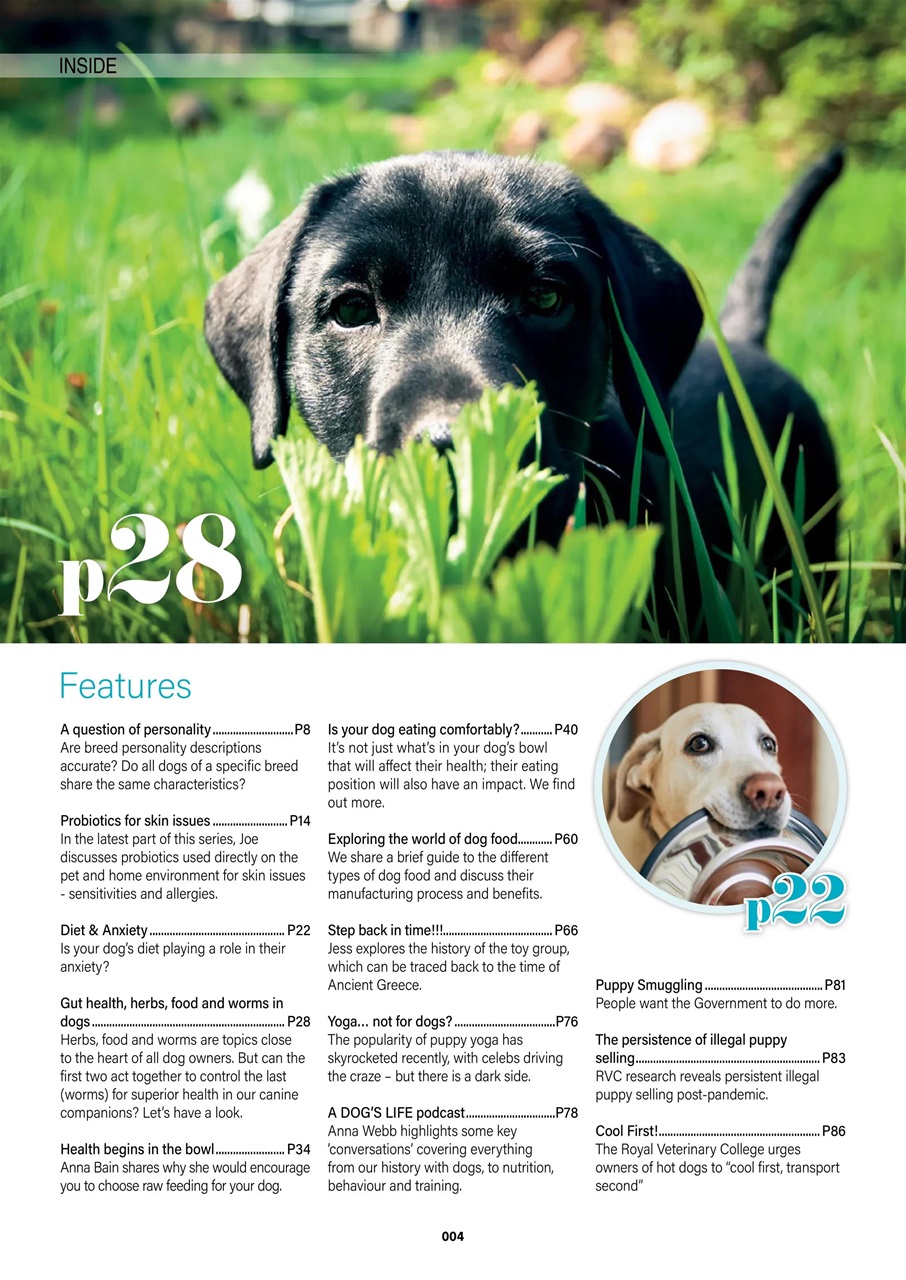 Edition Dog Preview Pages